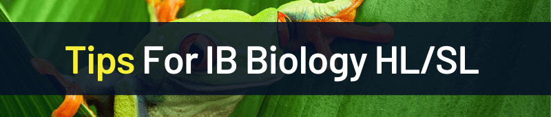 IB Biology SL/ HL Exam Preparation Tips